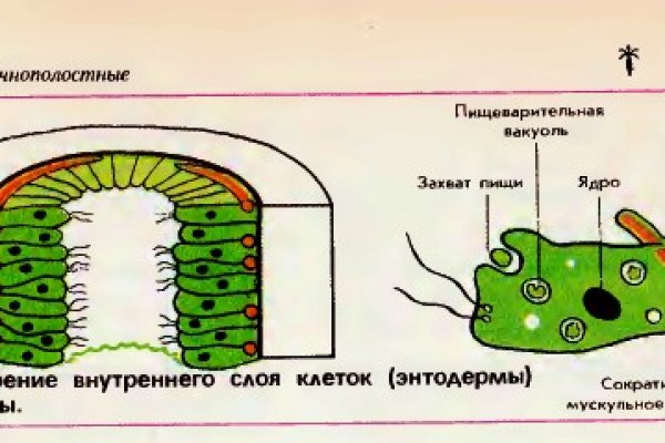 Актуальное зеркало kraken